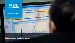 Business and succession planning for dairy farms